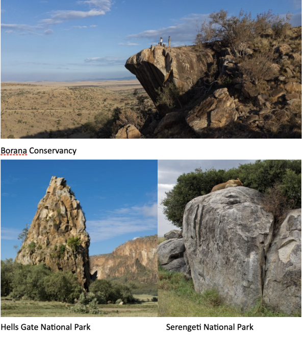 Three landscape reference photos from African wildlife regions used for scenic inspiration: the top image shows a dramatic rocky cliff overlooking the Borana Conservancy; the lower left image features a tall jagged rock spire in Hell’s Gate National Park; and the lower right image shows a lion resting atop a large rock formation in Serengeti National Park.