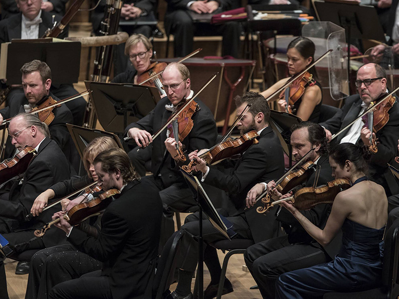 orchestra-strings-playing