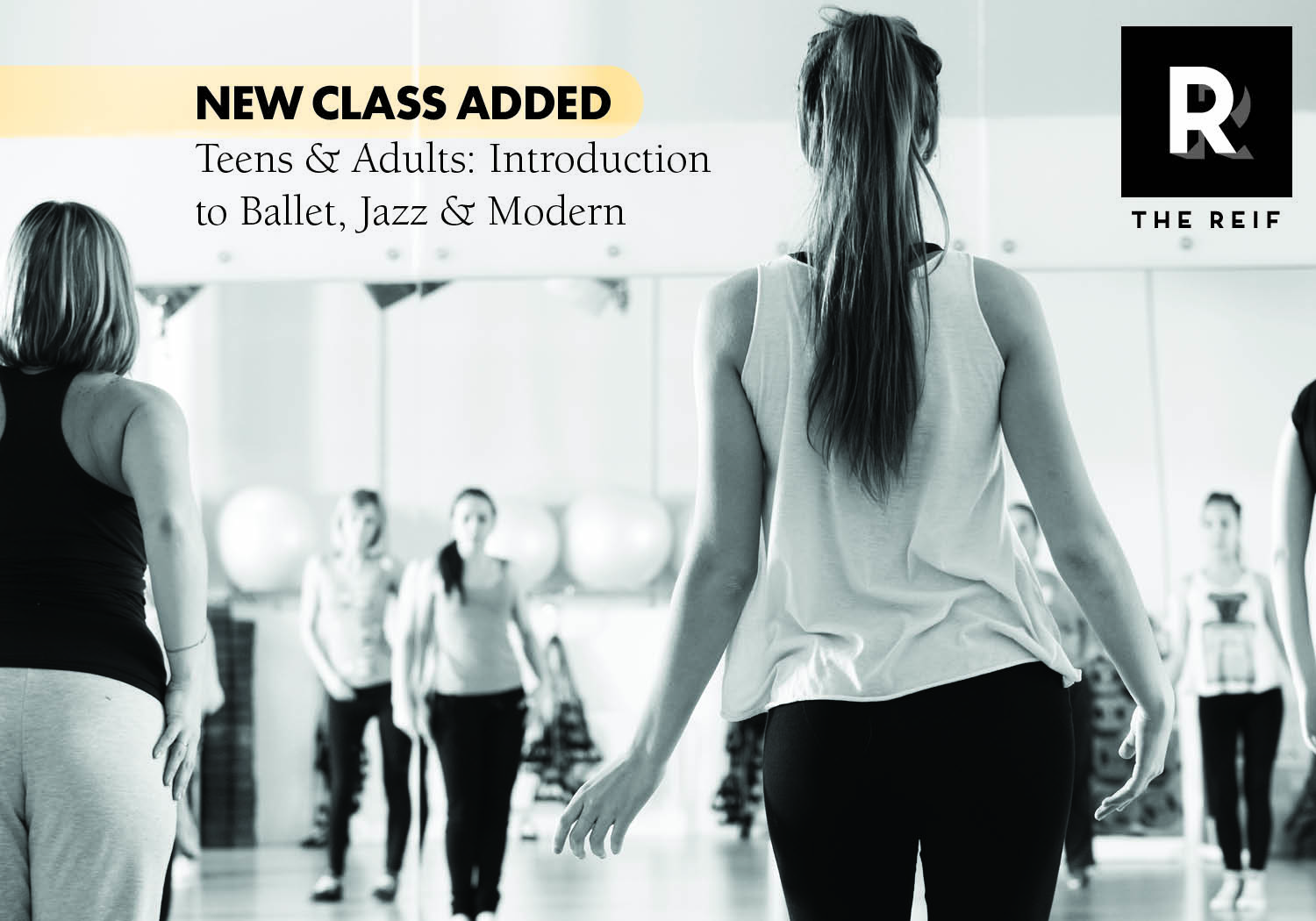 Reif Dance new class